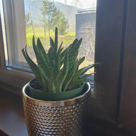 אתר נופש Zax B7 In Terra Complex בנסקו